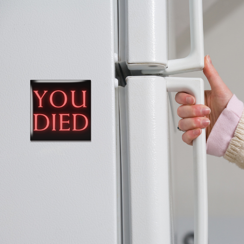 You Died Dark Souls Magnet