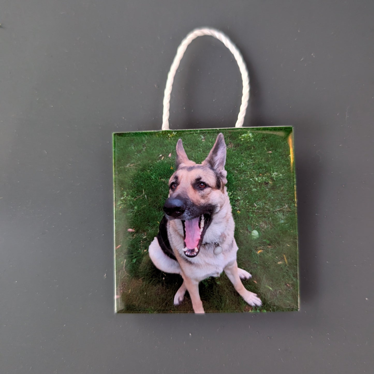 Photo Magnet Ornaments