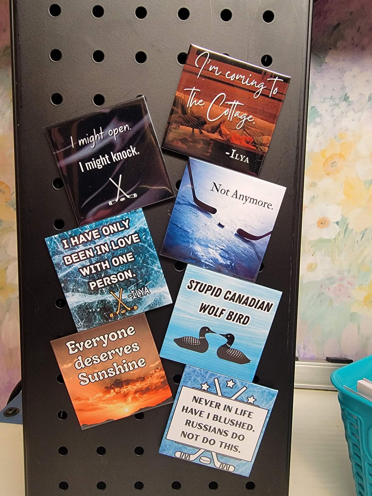 Mystery Magnets Bundle (6)