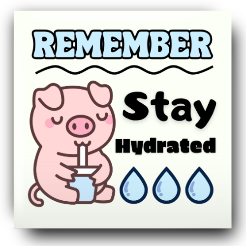 Remember Stay Hydrated Pig Magnet